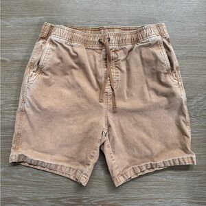 Prana Men's Brown Cargo Shorts